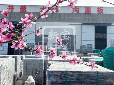 花滿枝頭，春意盎然